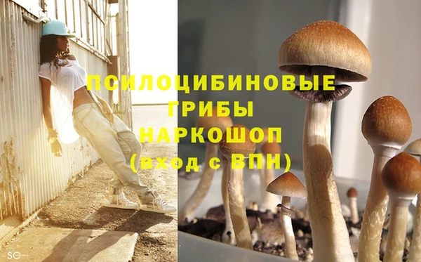 гашишное масло Арсеньев