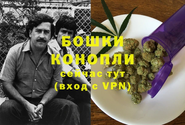 винт Армянск